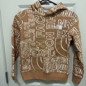 The North Face Kids Brown Hoodie